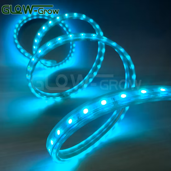 홈 룸 크리스마스 장식 5m/10m/15m/20m에 대 한 도매 방수 블루투스 SMD 5050 RGB LED 스트립 빛