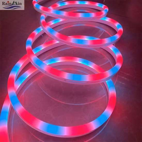 24V Ws2818 유연한 네온 스트립 장식 조명